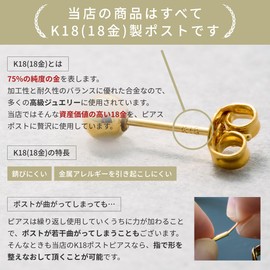 HILLIES 18K Gold Hoop Earrings, Simple, Hypoallergenic, Women's Accessories, Made in Japan, Metal, Cubic Zirconia