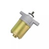 Soarider 2-Bolt 10 Tooth Gy6 50cc Scooter Moped Starter Motor
