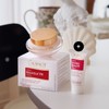 Gino Cream Crème Nouvelle B 50ml + Hydra Cream 15ml