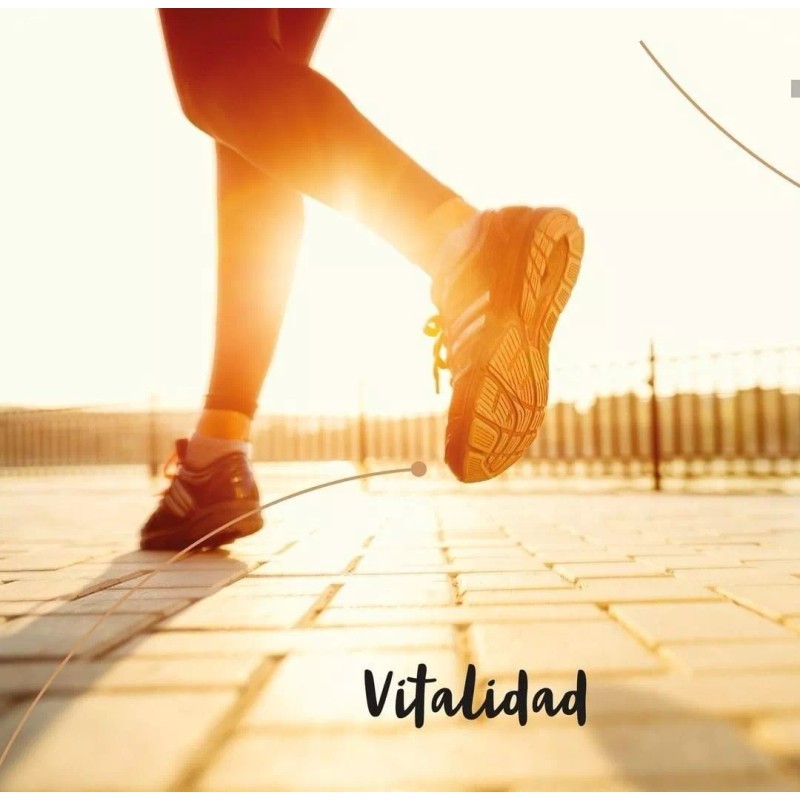 Oleum Vitae Mezcla De Aceites Esenciales 100% Puros Energy 15