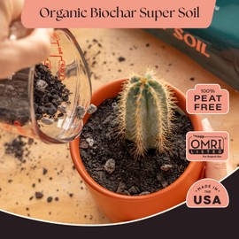 Rosy Soil Cactus and Succulent Organic Potting Soil Mix for House Plants - Fast Draining, Root Boosting, Peat-Free, Less Prone to Gnats - Drought-Tolerant -for AloeVera, Cacti, Indoor Succulents- 4qt