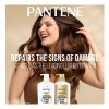 Pantene Pro-v Champoo Cabello 3 En 1 Reparador