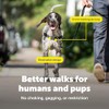 Petsafe Easy Walk - Arnés para Perros, ML, Beige