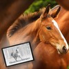 trendaffe Galloping Door Mat with Horse for Every Horse Lover