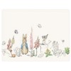 Peter Rabbit Original Small Glass Worktop Protector (Cl)