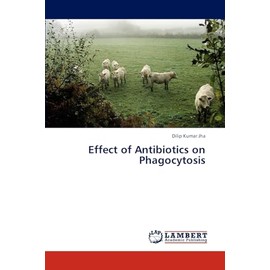 Effect of Antibiotics on Phagocytosis