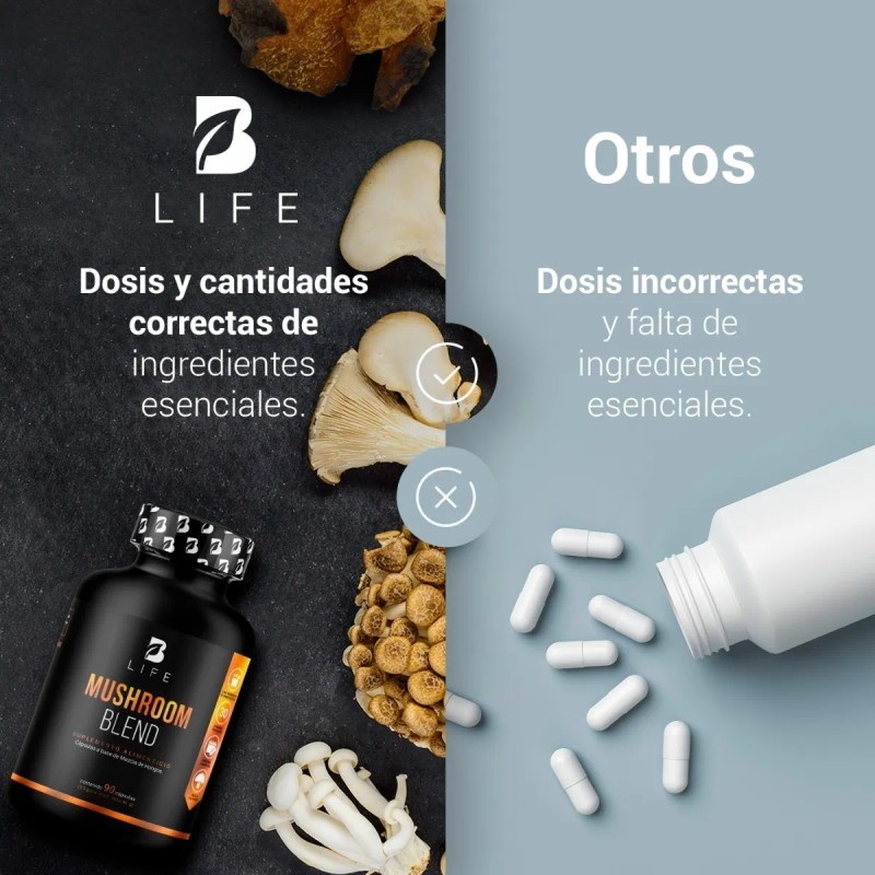 Complejo De Hongos De 90 Cápsulas. Mushroom Complex, B Life