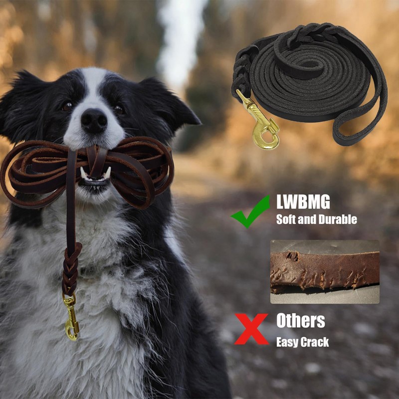 LWBMG Long Leather Dog Leash 10ft,Long Line Pet Leashes,Strong Sturdy