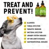 GoldenPaw Dog Antibiotics for Infections, Cough, UTI & Allergy Relief