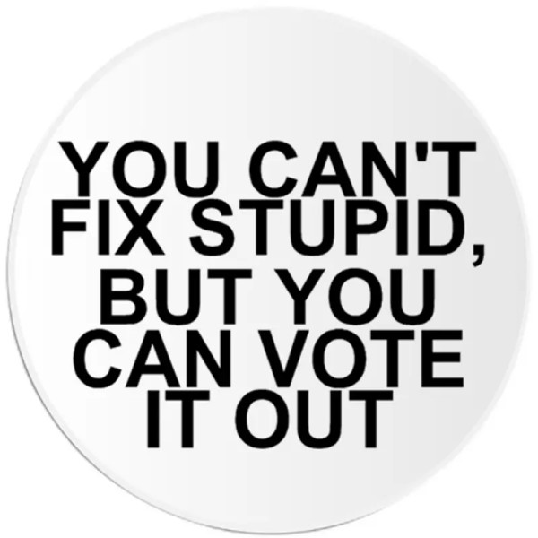 Kiwi Gifts You Can't Fix Stupid But You Can Vote