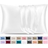 Pamposh Satin Silk Pillowcases For Hair And Skin 2 Pack