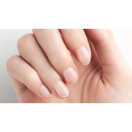 Almine Cortauñas Para Manos · Cuchillas Curvas De Acero Inox