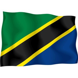 JJH Inc Magnet Tanzania Flag Flexible Vinyl Magnet Waterproof Car Magnetic Bumper Sticker 5"