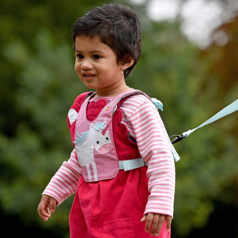 LittleLife Child & Toddler Safety Walking Harness & Reins