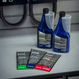 Polaris Advanced Fuel Treatment for RANGER XP 1000, 570, GENERAL 1000, XP 4 1000, Voyageur 146, TITAN Adventure 155, 120 INDY Models and More, for 2 and 4 Cycle Engines, 12 Oz Bottle, Qty 1-2881416