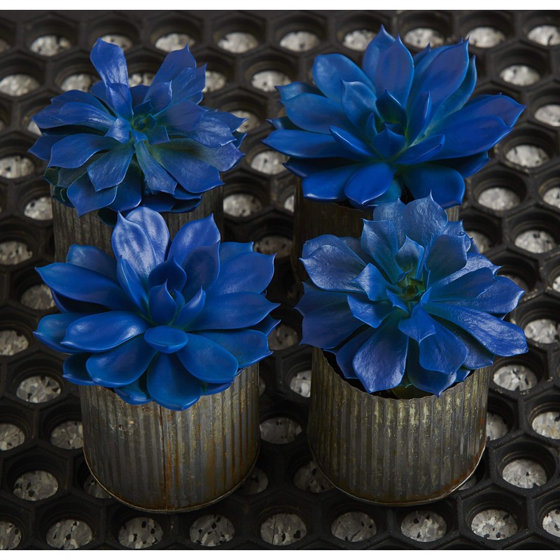 Design Master 686 Blue Marlin Colortool Spray