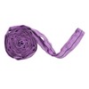 Lifting Sling Hoist Webbing 1T Polyester Rigging Strap Purple for