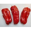 Urfa Biber-Isot Pepper 10+ Seeds