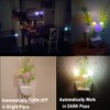 AUSAYE Sensor Led Night Light, Color Changing Plug-in LED Mushroom