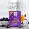 New Nordic New Nordic Blue Berry Strong - Eye Support