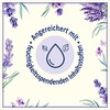 Le Petit Marseillais Shower Cream (250 ml), Lavender from the