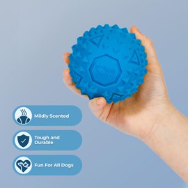 Best Pet Supplies Squeaky Rubber Toy for Dogs Durable Non-Toxic Perfect for Aggressive Chewers Spiked for Dental Health Interactive Dog Toy - Rubber Dog Toy - Blue (L = 3.5")
