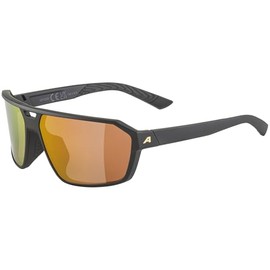 Alpina Swift Sunglasses, Matte Black/Gold, One Size