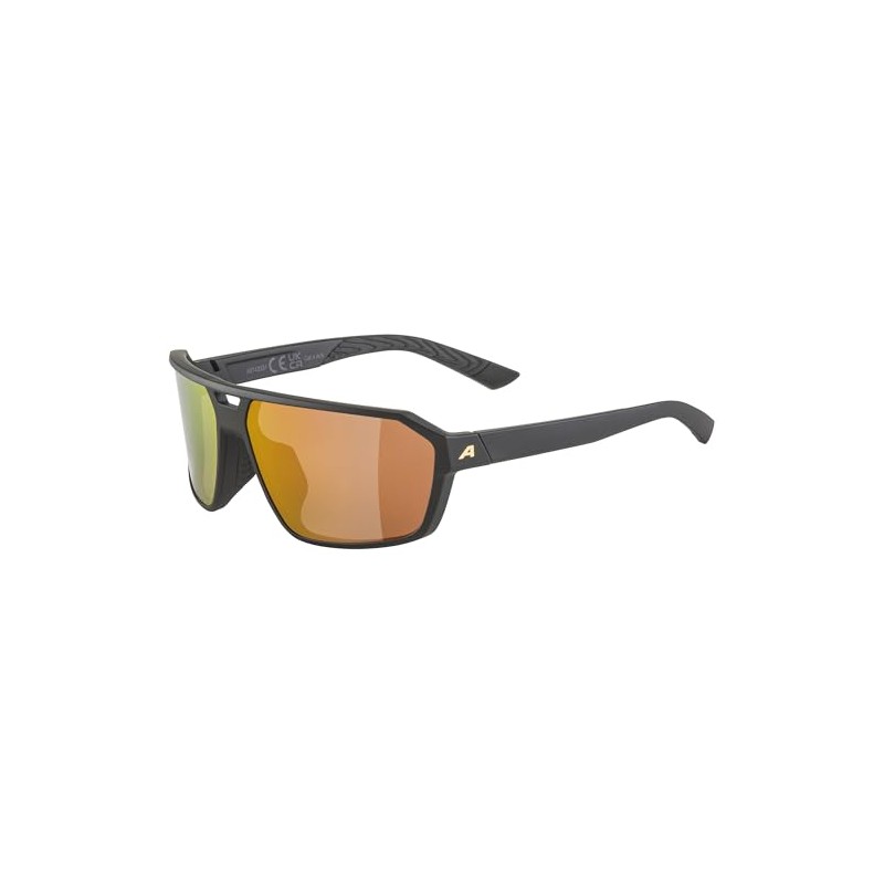 Alpina Swift Sunglasses, Matte Black/Gold, One Size