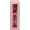 Maturi Hand Painted Lipstick Kiss Champagne Flute, 400ml, Red, Gift