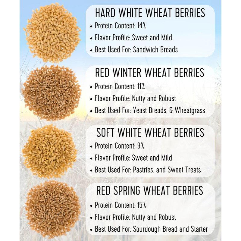 Certified Glyphosate Residue Free Soft White Wheat Berries | 18