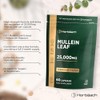 Mullein Leaf Extract 25,000mg | Max Strength Formula for Men