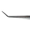 Dental Cotton Tweezer College Foil Forcep Serrated Angled Beak Dressing