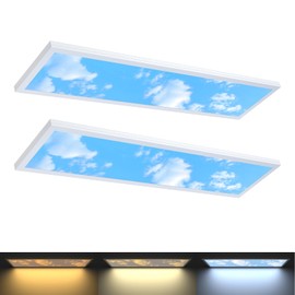 AIKVSXER 2 Pack 1x4 LED Sky Panel Light Surface Mount 50W 5500Lm Triac Dimming 3CCT 3000K/4000K/5000K 4ft LED Light Fixtures Ultra Thin for Kitchen Garage ETL DLC Listed