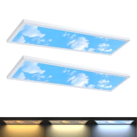 AIKVSXER 2 Pack 1x4 LED Sky Panel Light Surface Mount 50W 5500Lm Triac Dimming 3CCT 3000K/4000K/5000K 4ft LED Light Fixtures Ultra Thin for Kitchen Garage ETL DLC Listed