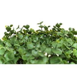 Heitmann Deco Wreath – Decoration – Leaves – Christmas – Easter – Spring – Green – Diameter: Approx. 25 cm