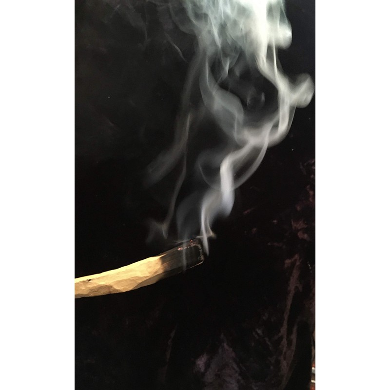 Palo Santo Holy Wood Incense Sticks 5 Pcs