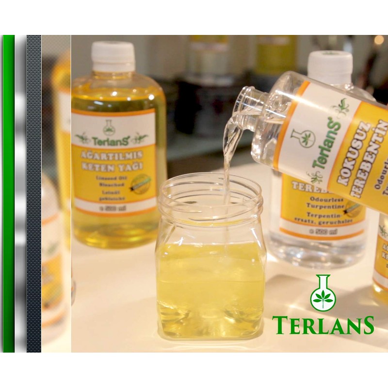 TERLANS Oil Paint Thinner, 100 ml (3.38 Fl. Oz.) Completely