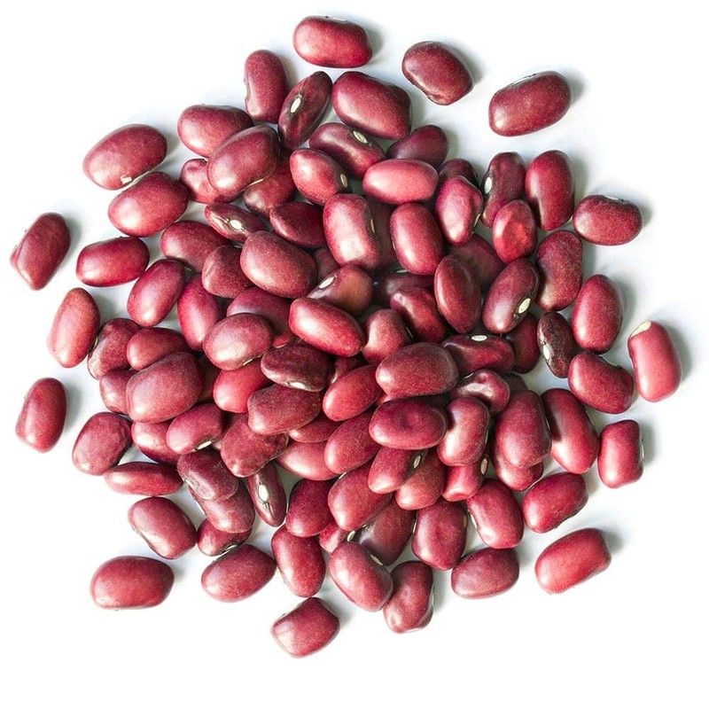 Organic Adzuki Sprouting Beans, 15 Pounds - Non-GMO, Kosher, Dried,