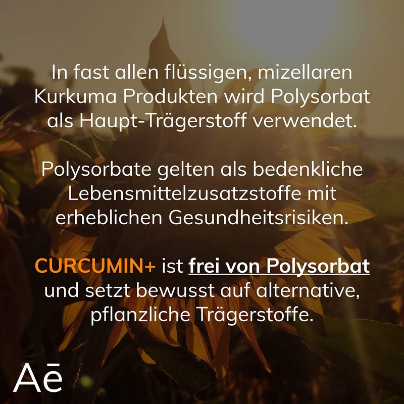 Curcumin Plus High Dose | Liquid Turmeric in Micellar Formula