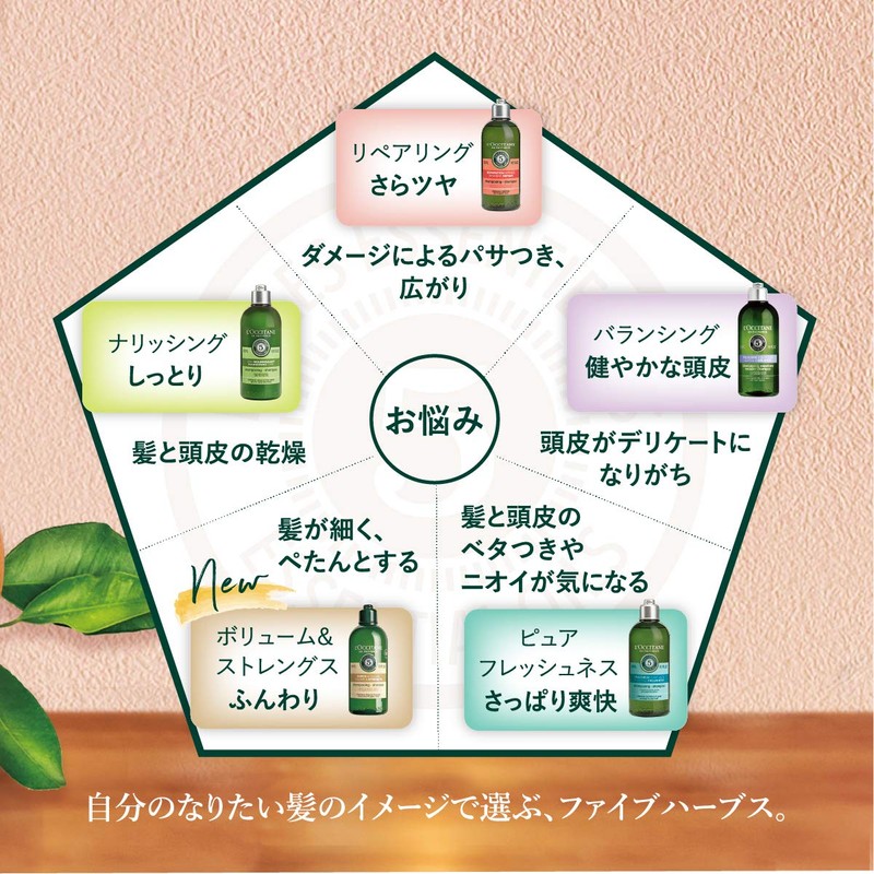 L'Occitane Five Herbs Volume & Strength Conditioner, 8.5 fl oz