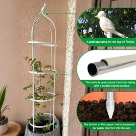 Garden Trellis for Climbing Plants, Rustproof Metal Pipe with Heavy Duty 6ft, Garden Outdoor Indoor Potted Plant Support（White）