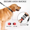 PETTOM Martingale Half Dog Collar, Strong Dog Collar Metal Chain,