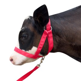 Cow Halter Cattle Halters Adjustable Calf Halter with Leading Rope for Horse Donkey Goat Nylon Cattle Training Supplies Pink L