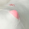 Cartoon Cat Plush Toy Cute Soft Comfortable Elastic Children Stuffed