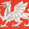 AZ FLAG English White Dragon Flag 18'' x 12'' cords