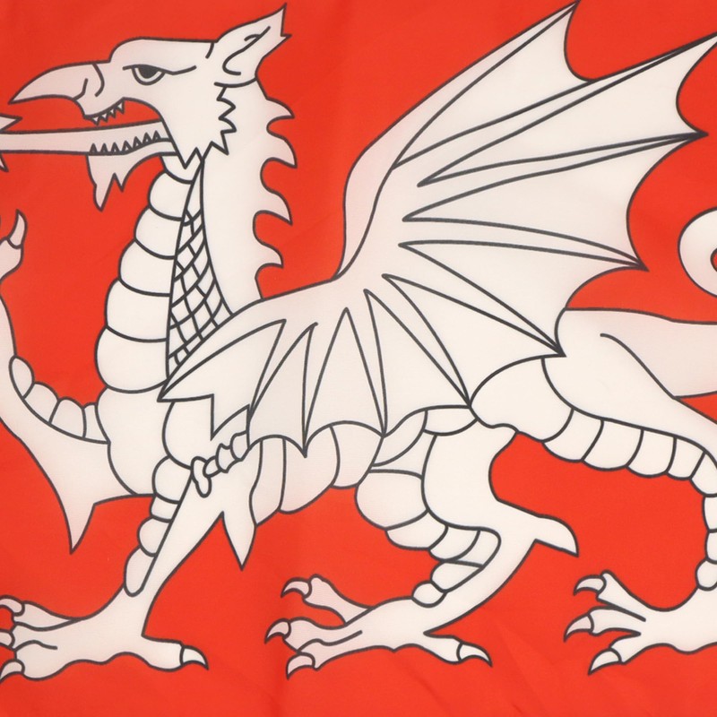 AZ FLAG English White Dragon Flag 18'' x 12'' cords