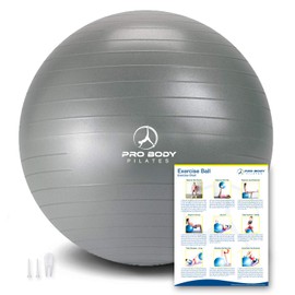 ProBody Pilates Ball Exercise Ball Yoga Ball, Multiple Sizes Stability Ball Chair, Gym Grade Birthing Ball for Pregnancy, Fitness, Balance, and Physical Therapy (Silver, 55cm (No Pump))