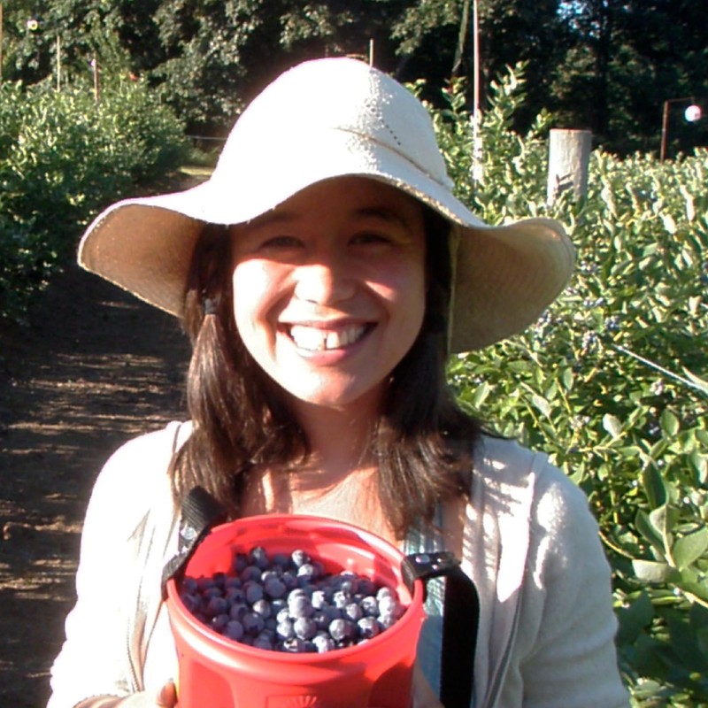 Wilderness Poets, Organic Oregon Blueberries (Sweetened with Organic Apples) -
