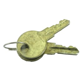 Edwards Set of 2 Edwards CAT30 Style Fire Alarm Panel Pull Station Control Brass Keys