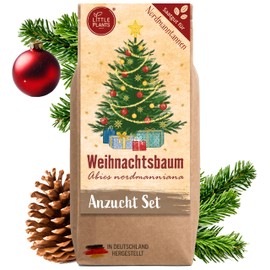 Little Plants Christmas Tree Growing Set - Christmas Tree 2030 I as Advent Calendar Filling, Secret Santa Gift I Christmas Tree in a Tin I Fill Advent Calendar Contents I Christmas Tree Gift Set 2